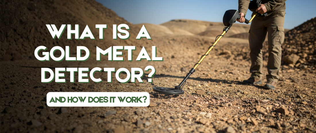What Is a Gold Metal Detector and How Does It Work?
